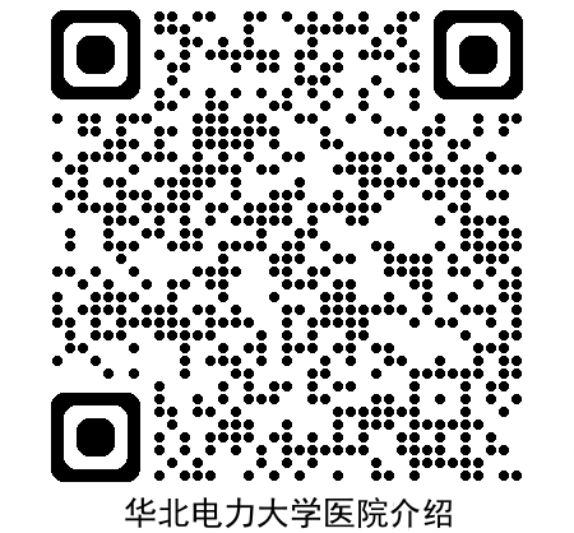 2026世界杯足球官网介绍