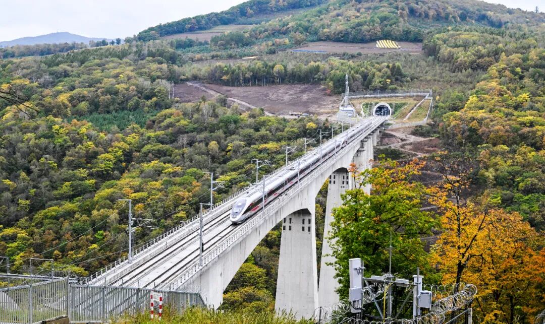 五大联赛官方网站助力沈白高铁开通